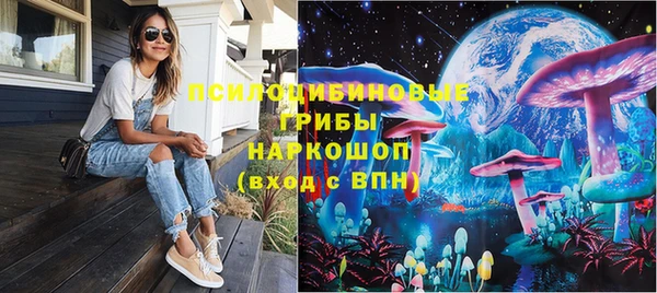 прущие грибы Алексин