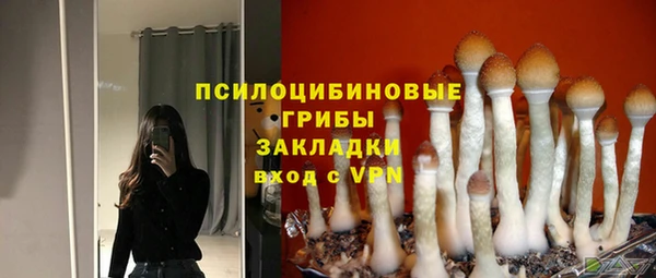 твердый Алексеевка