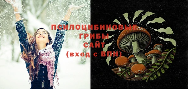 твердый Алексеевка