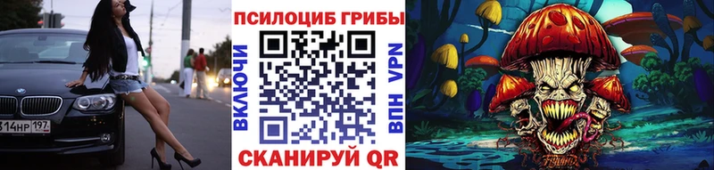 Псилоцибиновые грибы GOLDEN TEACHER  купить   Киреевск 